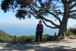 PICTURES/Cabrillo National Monument/t_Sharon by Tree.JPG